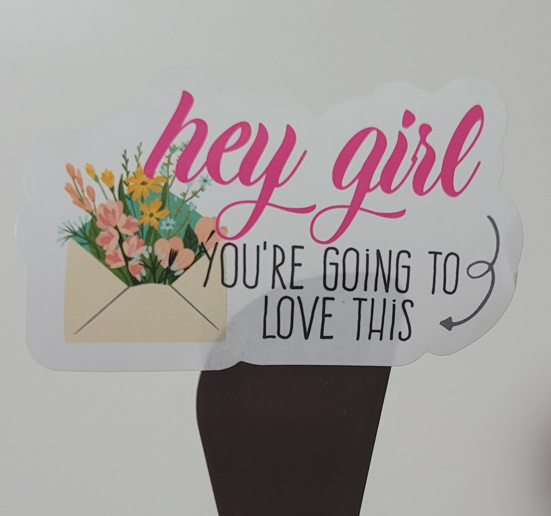 100 Stickers Prediseñado Hey Girl!
