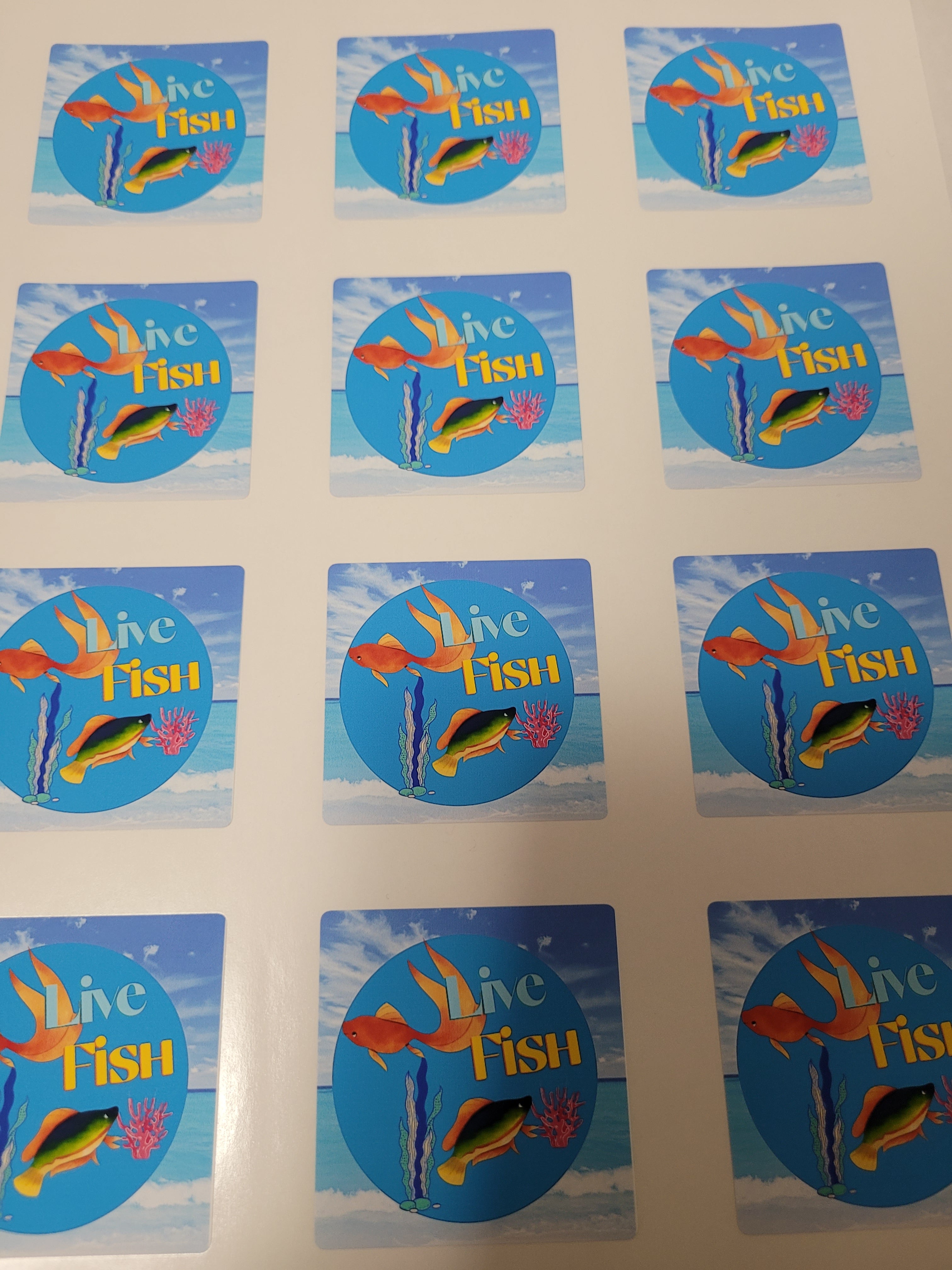 Stickers Personalizados Cuadrado 2x2 Pulgadas