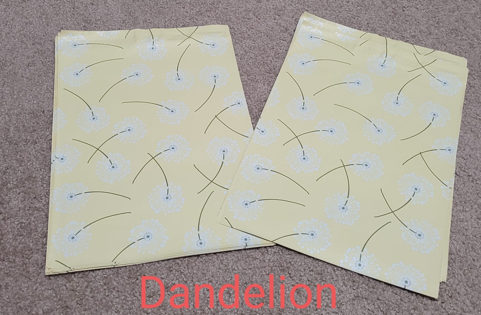 10x13 Bolsa de Envio Dandelion