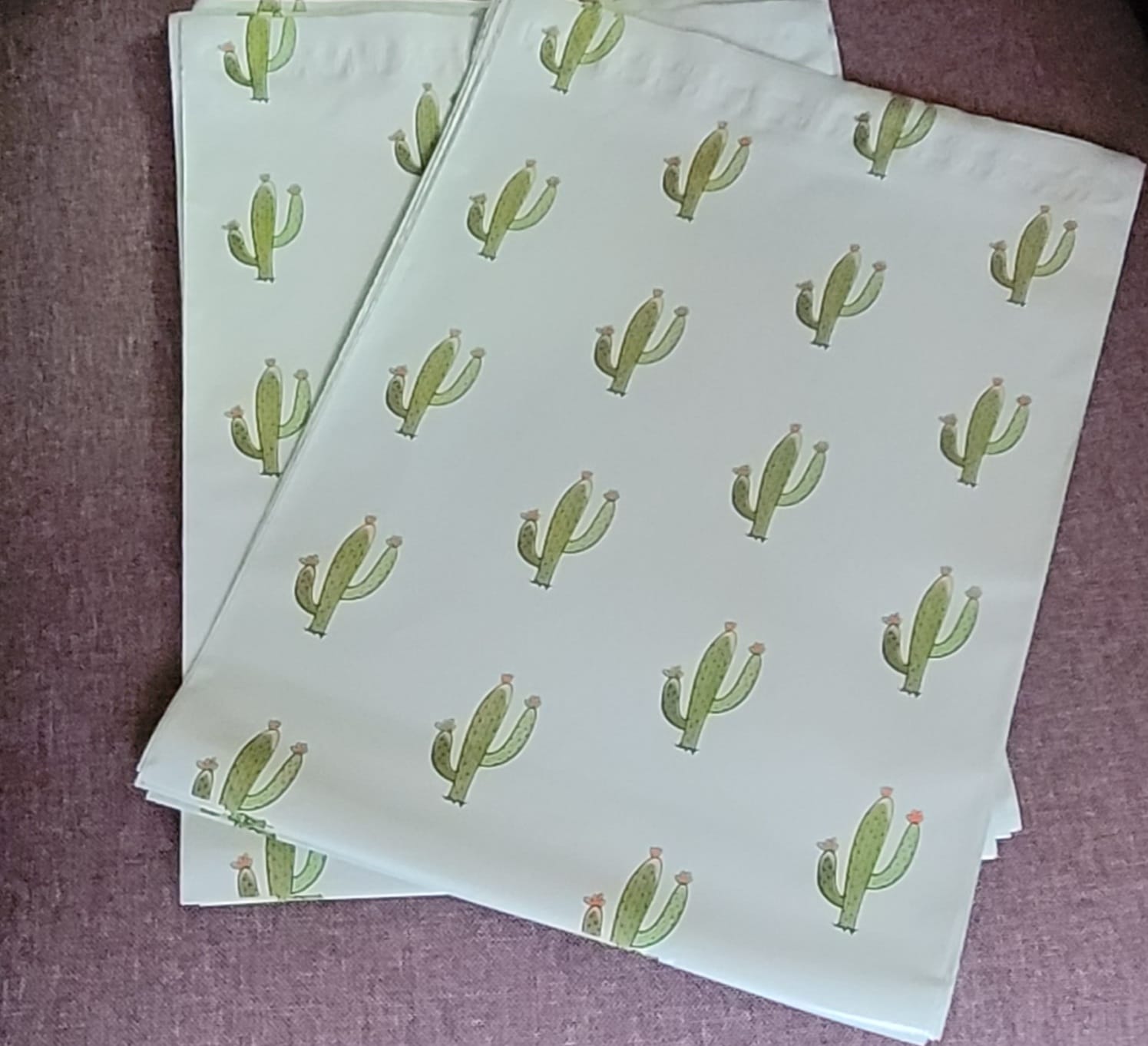 10x13 Bolsa de Envio Cactus