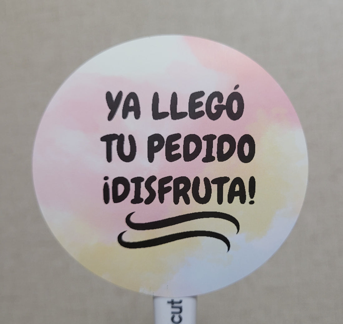 Stickers Prediseñados 3&quot; Multi ALC &quot; Llegó tu pedido&quot;