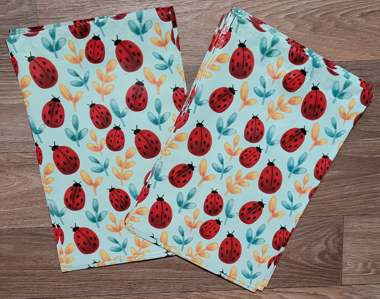 10x13 Bolsa de Envio Lady bugs